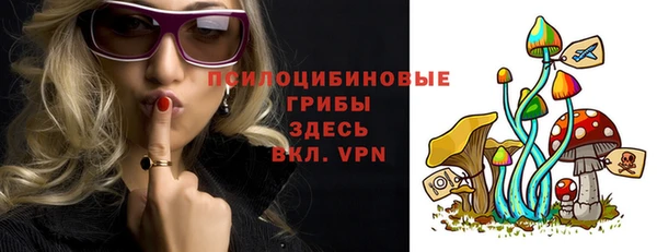гидра Новоульяновск