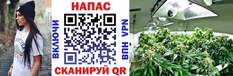 Шишки марихуана конопля  Россошь 